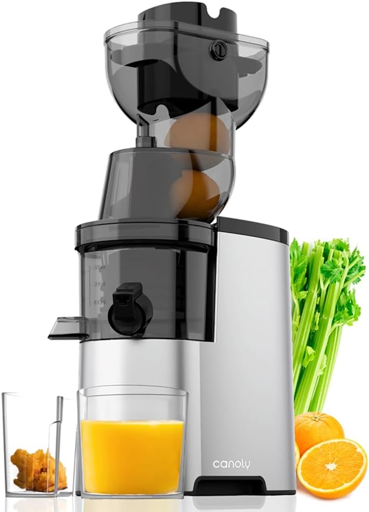 Masticating Juicer