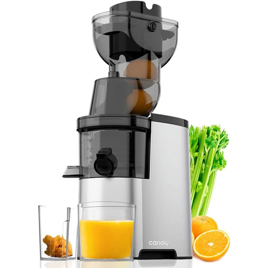 Masticating Juicer